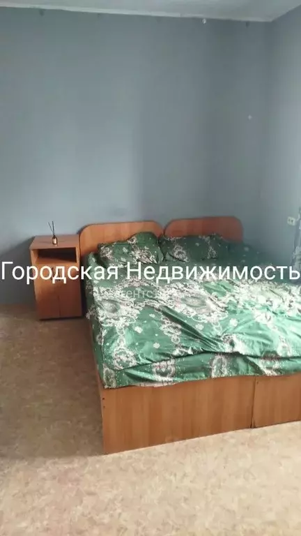 1-к кв. Томская область, Томск ул. Старо-Деповская, 13 (18.0 м) - Фото 2