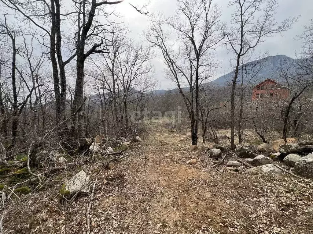 Участок в Крым, Алушта городской округ, с. Малый Маяк ул. Победы (8.0 ... - Фото 1