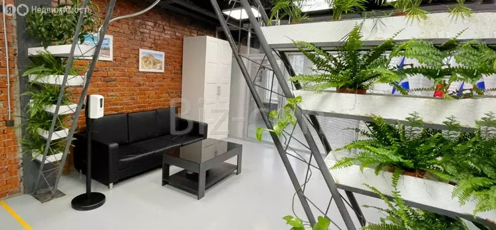 Офис (22 м) - Фото 2