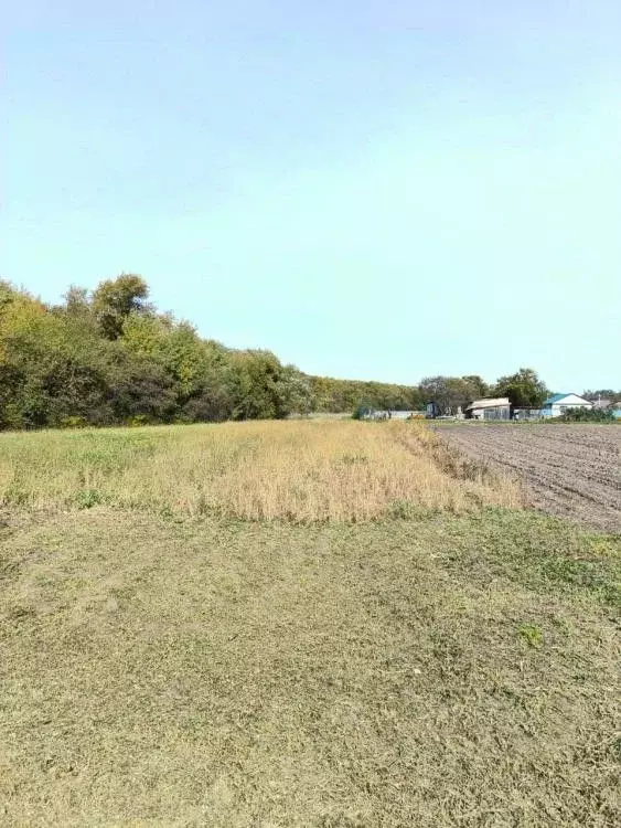 Участок в Амурская область, Благовещенский район, с. Усть-Ивановка ... - Фото 1