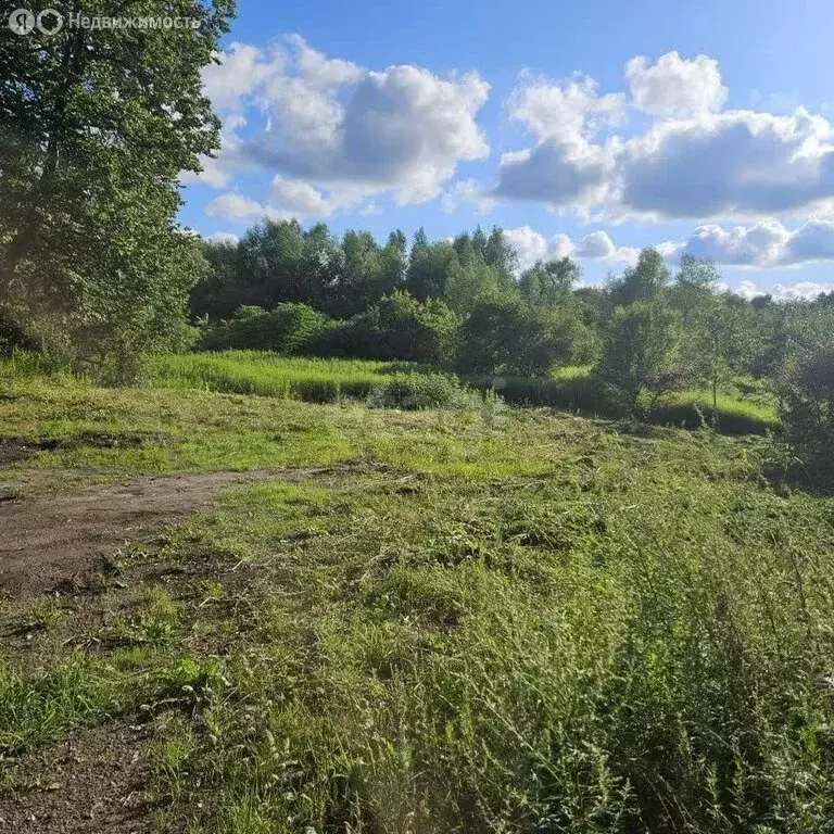 Участок в Калининград, улица Тенистая Аллея (4.4 м) - Фото 1