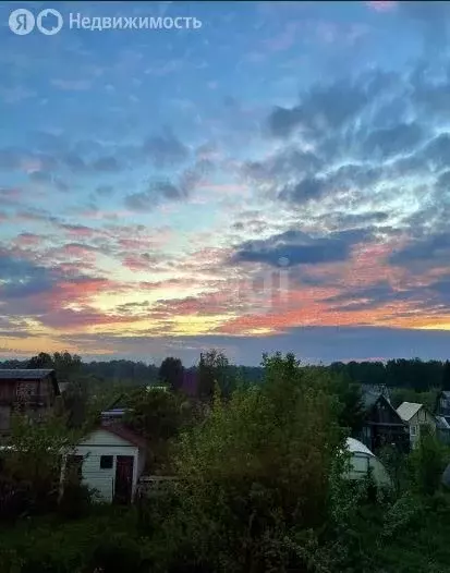 Участок в Барышевский сельсовет, садоводческое некоммерческое ... - Фото 2