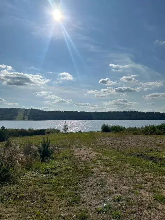 Участок в Ленинградская область, Приозерский район, Красноозерное ... - Фото 0