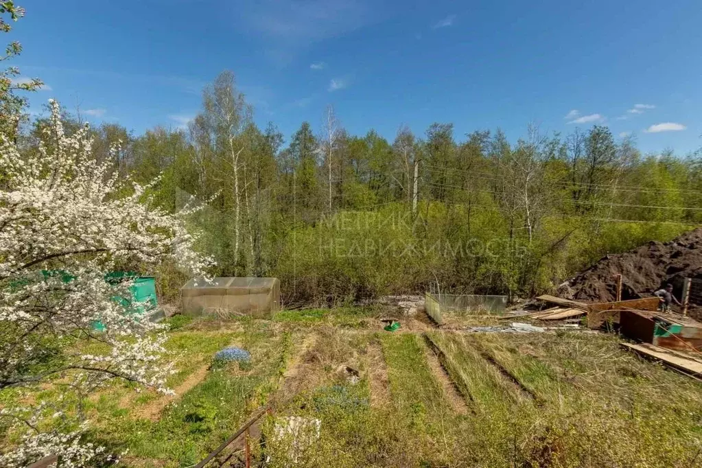 Участок в Тюменская область, Тюмень СОСН Мичуринец тер., 160 (4.0 ... - Фото 2