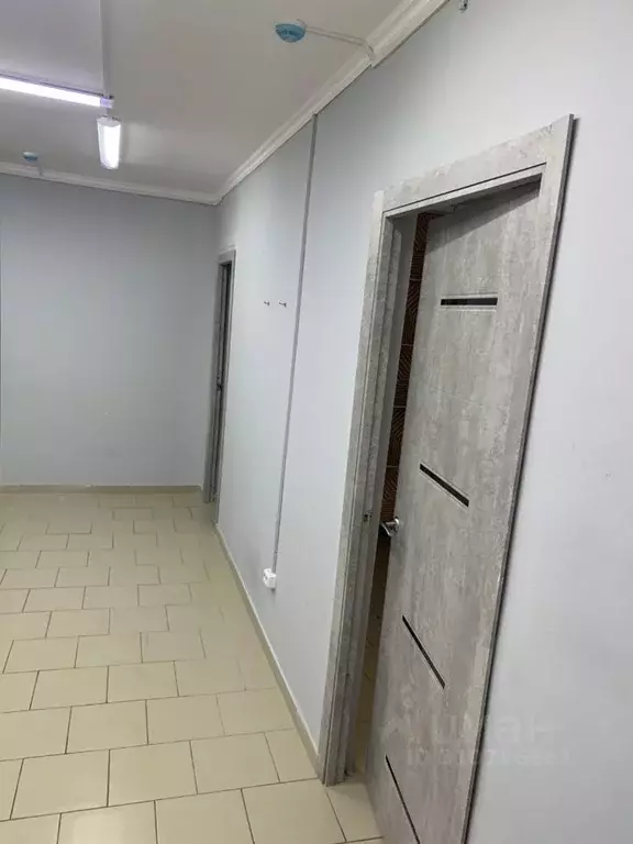 Торговая площадь в Курская область, Курск ул. Радищева, 57 (43 м) - Фото 2