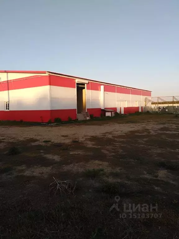 Производственное помещение в Волгоградская область, Новониколаевский ... - Фото 0