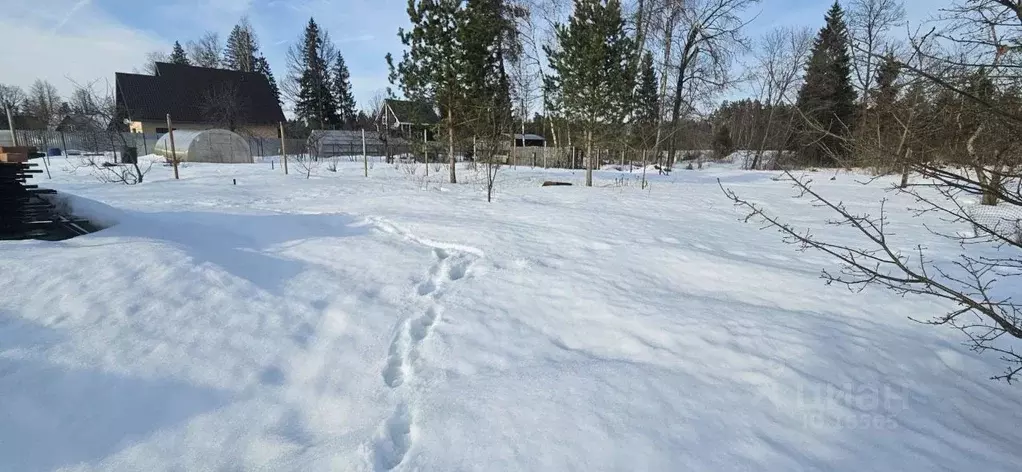 Участок в Московская область, Рузский городской округ, пос. Старая ... - Фото 0