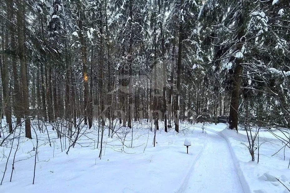 Участок в Московская область, Одинцовский городской округ, д. ... - Фото 2