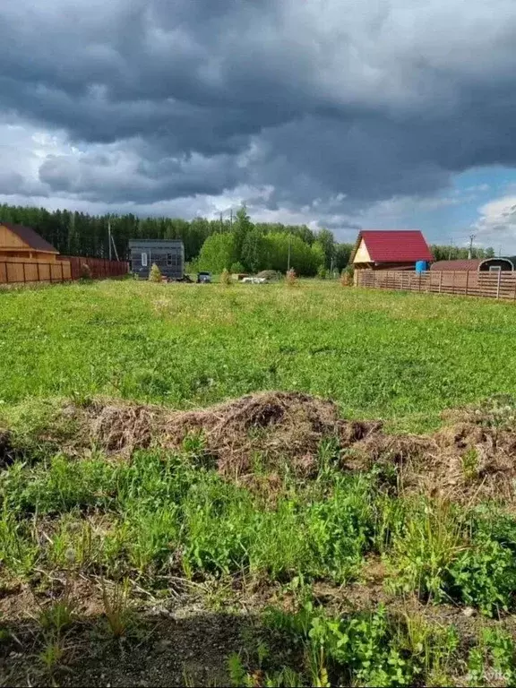 Участок в Свердловская область, Белоярский муниципальный округ, ... - Фото 1