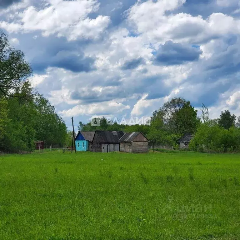 Дом в Рязанская область, Спасский муниципальный округ, с. Степановка ... - Фото 1
