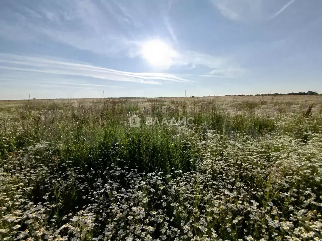 Участок 2,35 га (СНТ, ДНП) - Фото 0