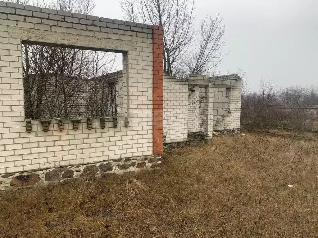 Участок в Белгородская область, Вейделевский район, с. Белый Колодезь ... - Фото 1