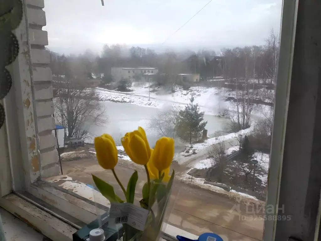 1-к кв. Ленинградская область, Сертолово Всеволожский район, ул. ... - Фото 2