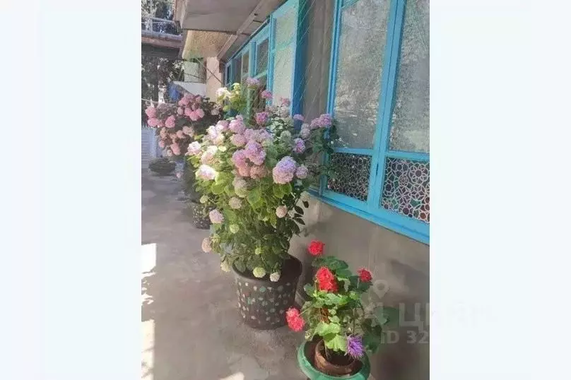 Дом в Крым, Ялта муниципальный округ, Симеиз пгт ул. Красномаякская, ... - Фото 2