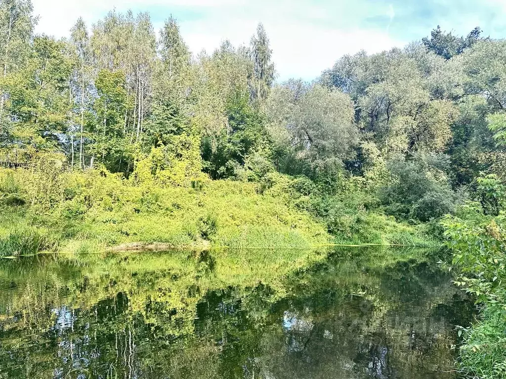 Участок в Московская область, Ступино городской округ, Вальцово СНТ  ... - Фото 1