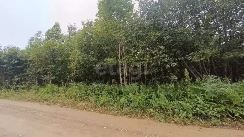 Участок в Сахалинская область, Южно-Сахалинск  (15.0 сот.) - Фото 1