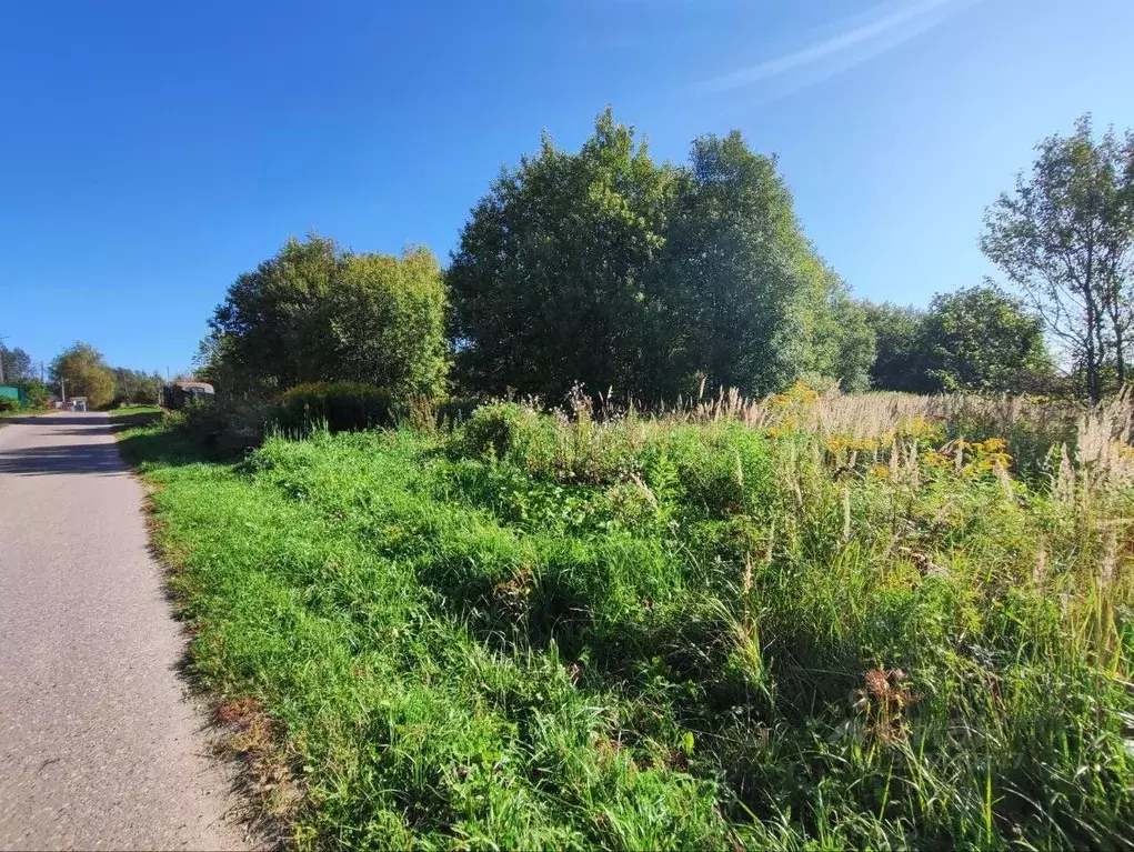 Участок в Московская область, Волоколамский муниципальный округ, д. ... - Фото 2