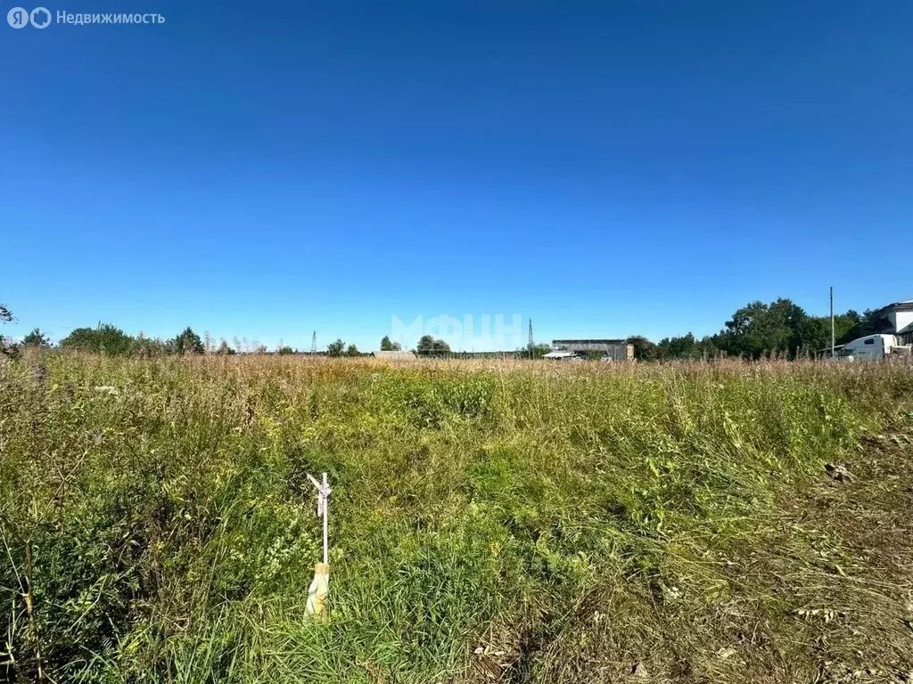 Участок в Шокша, Васильевская (15 м) - Фото 0