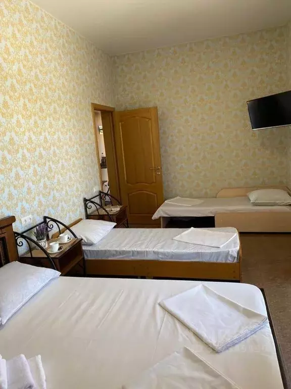 Комната Краснодарский край, Сочи ул. Енисейская, 6/20 (22.0 м) - Фото 1