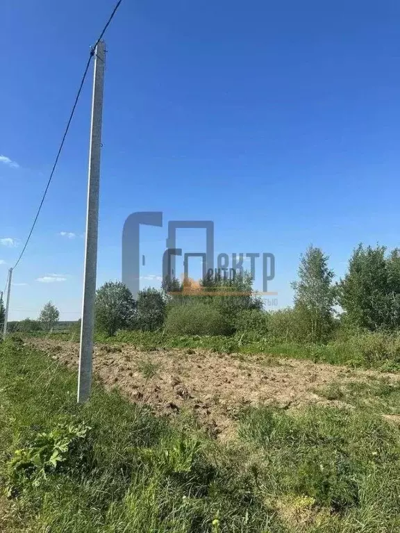 Участок в Ярославская область, Некрасовский муниципальный округ, ... - Фото 2