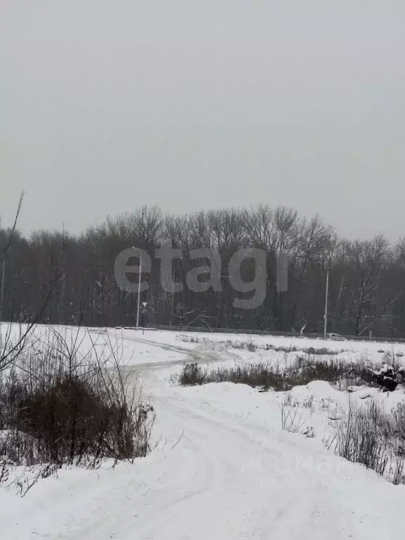 Гараж в Брянская область, Брянск  (30 м) - Фото 1