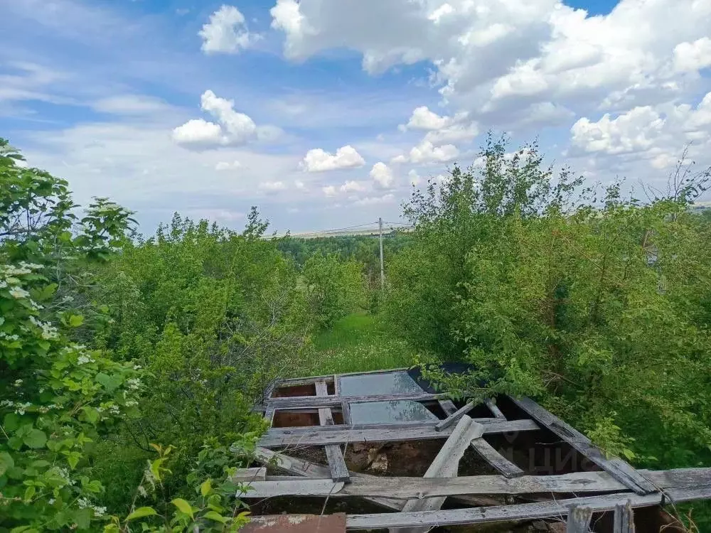 Участок в Хакасия, Саяногорск Саяногорск городской округ, ул. Тенистая ... - Фото 1