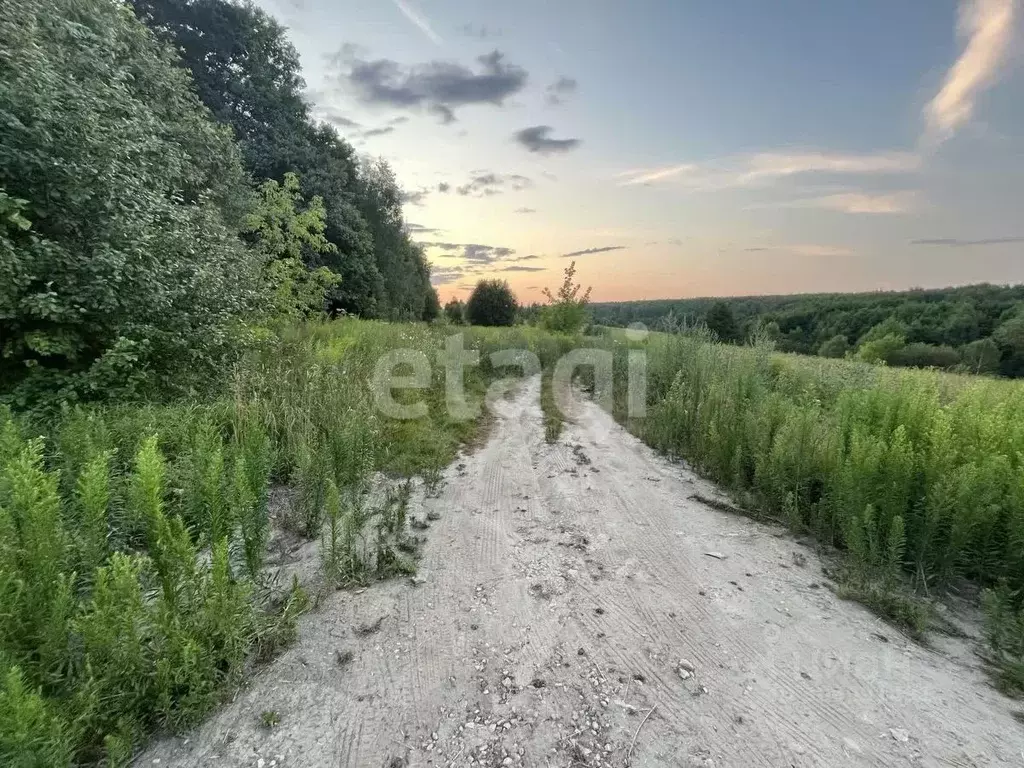 Участок в Тульская область, Дубенский район, Воскресенское ... - Фото 1