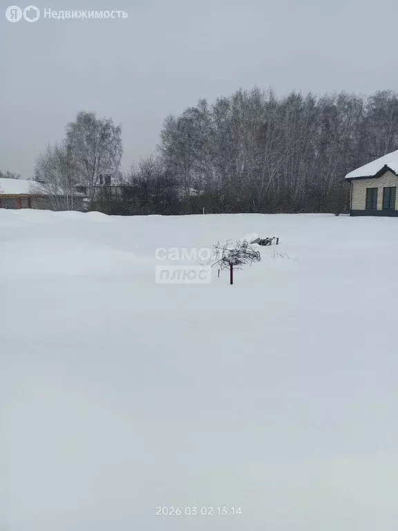 Участок в деревня Малиновка, коттеджный посёлок Лесной Остров, ... - Фото 1