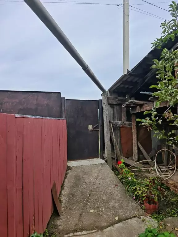 Дом в Алтай, Чемальский район, с. Чемал ул. Зеленая Роща, 15 (60 м) - Фото 2