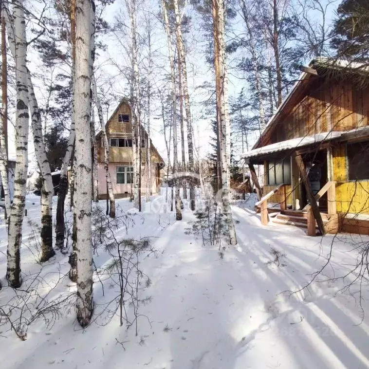 Участок в Иркутская область, Иркутский муниципальный округ, Гелиос СНТ ... - Фото 2