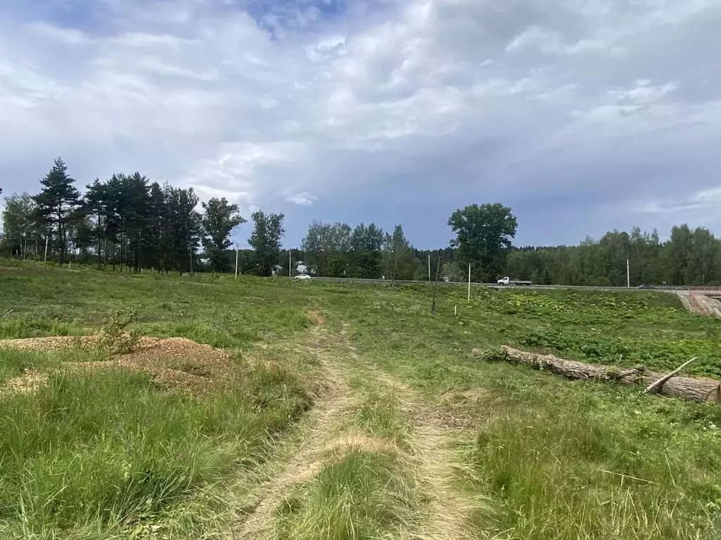 Участок в Московская область, Пушкинский городской округ, с. Царево  ... - Фото 2