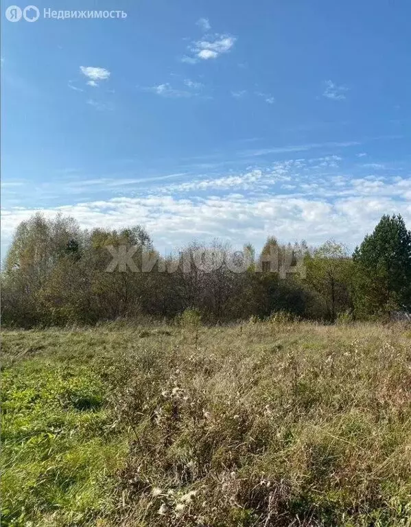 Участок в Томский район, село Тахтамышево, Новая улица (10.2 м) - Фото 1