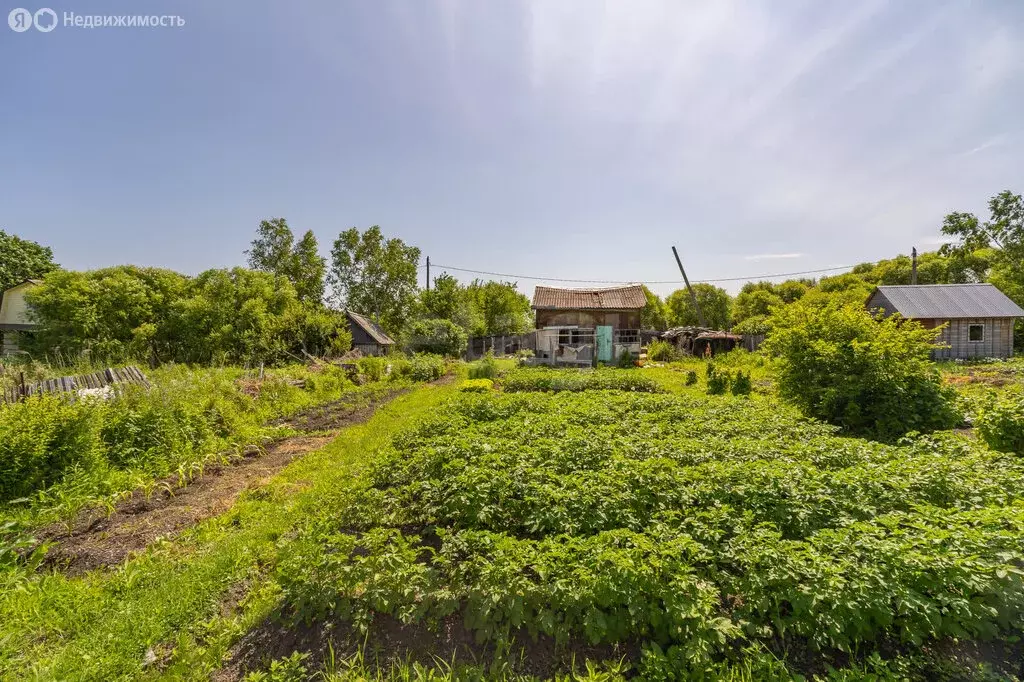 Участок в село Мирное, Рабочая улица (6 м) - Фото 2