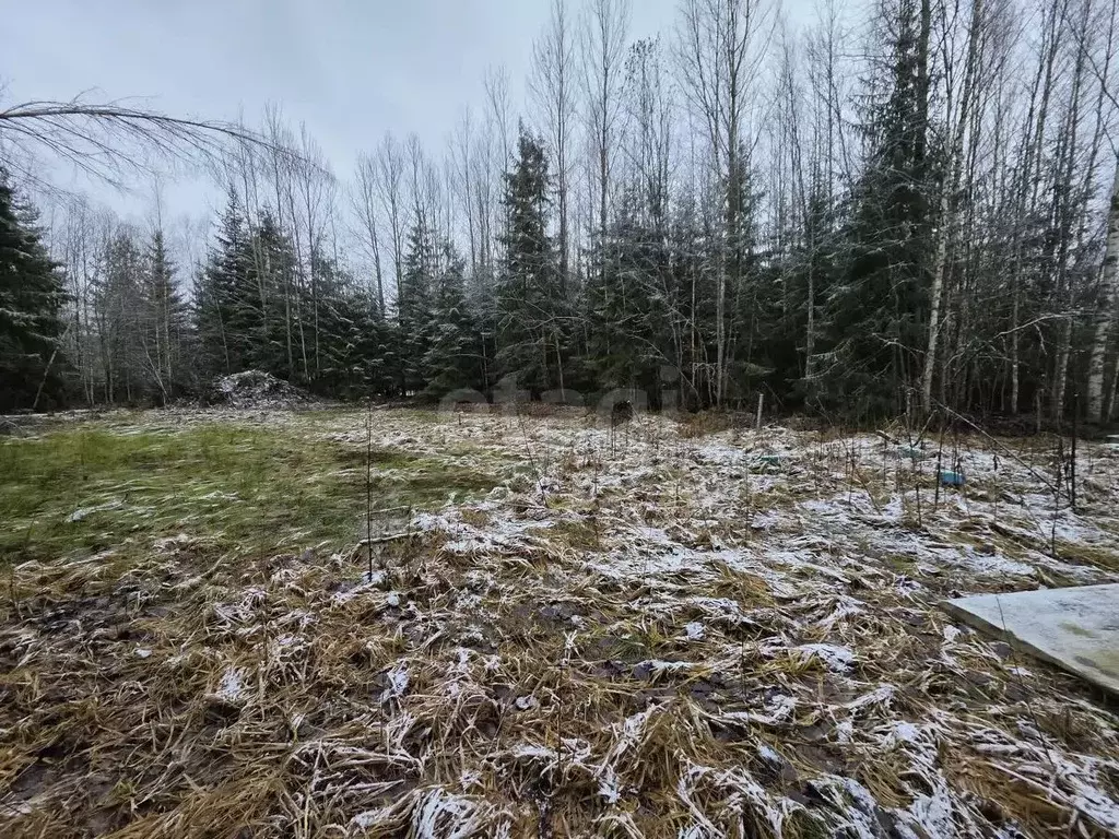 Участок в Ленинградская область, Киришский район, Кусинское с/пос, ... - Фото 1