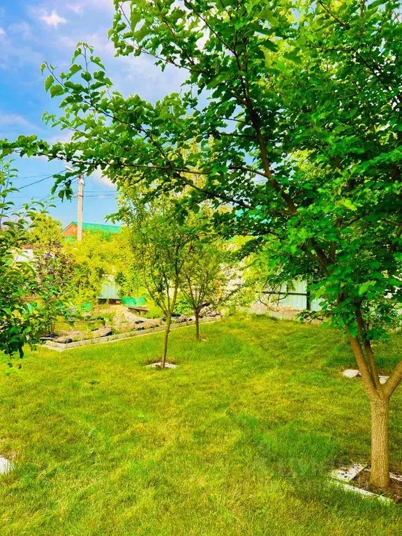 Участок, 7 сот., сельхоз (снт или днп) - Фото 0