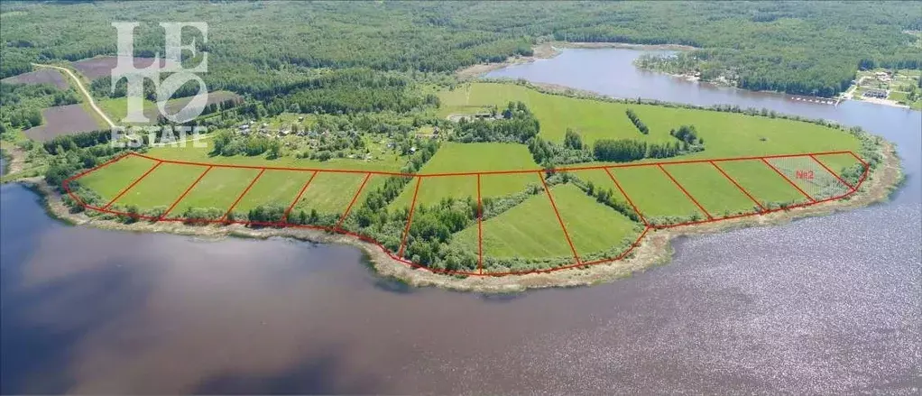 Участок в Ярославская область, Угличский муниципальный округ, д. ... - Фото 1