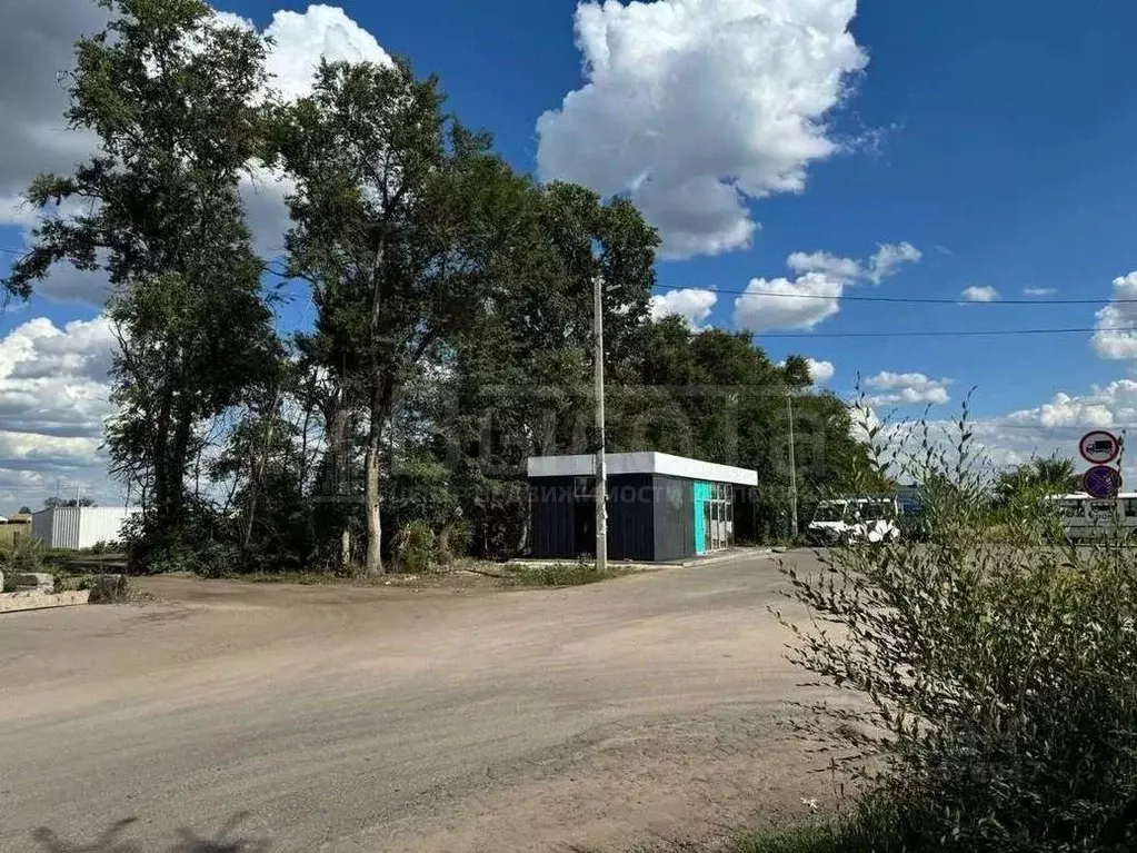 Участок в Воронежская область, с. Новая Усмань ул. Курская (10.0 сот.) - Фото 2