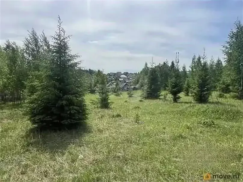 Участок в Пермский край, Пермский муниципальный округ, д. Канабеково, ... - Фото 2