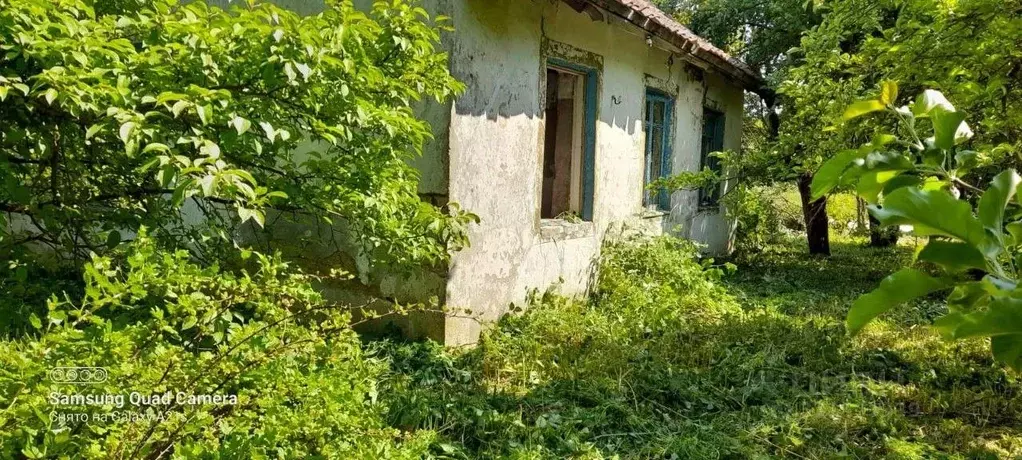 Дом в Калининградская область, Славский муниципальный округ, пос. ... - Фото 1