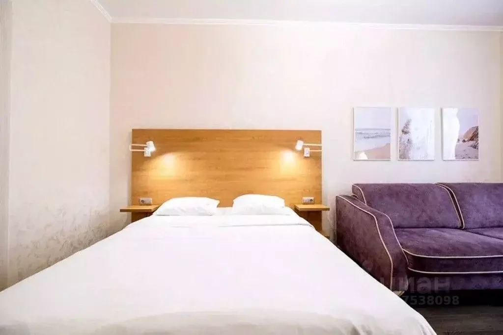 1-к кв. Томская область, Томск ул. Трифонова, 22 (45.0 м) - Фото 1