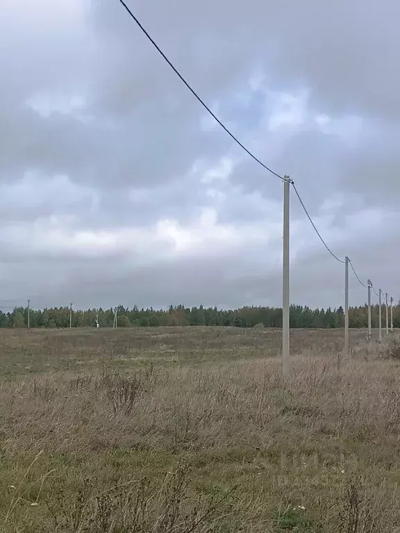 Участок в Новгородская область, Новгородский район, Ракомское с/пос, ... - Фото 0