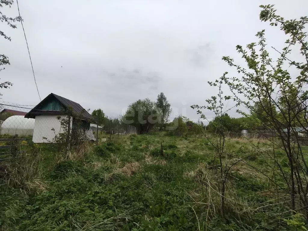 Участок в Смоленская область, Смоленский муниципальный округ, Кольцо ... - Фото 0