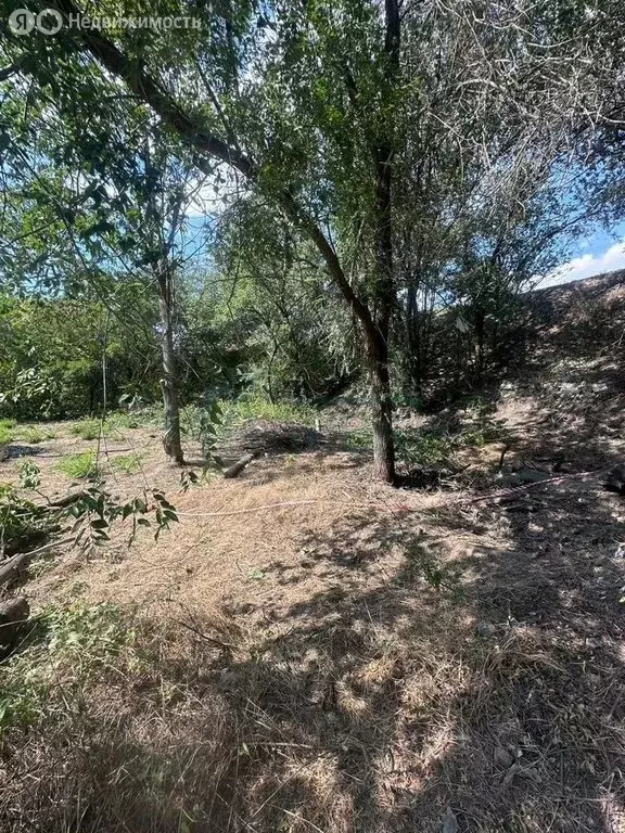 Участок в Ростов-на-Дону, Всесоюзная улица, 5А (2 м) - Фото 2