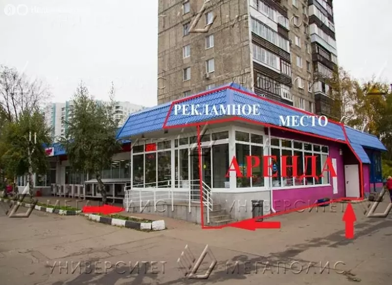 Помещение свободного назначения (54 м) - Фото 2