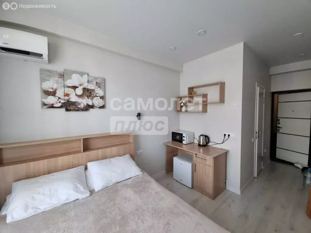 1-комнатная квартира: село Агой, Центральная улица, 10 (16.7 м) - Фото 1