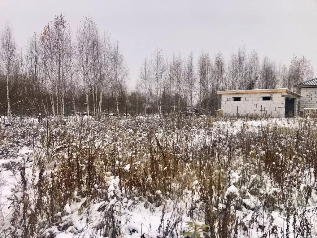 Участок в Московская область, Воскресенск городской округ, с. ... - Фото 1