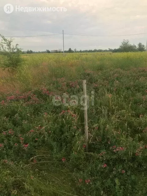 Участок в Энгельс, Апрельская улица (6 м) - Фото 1