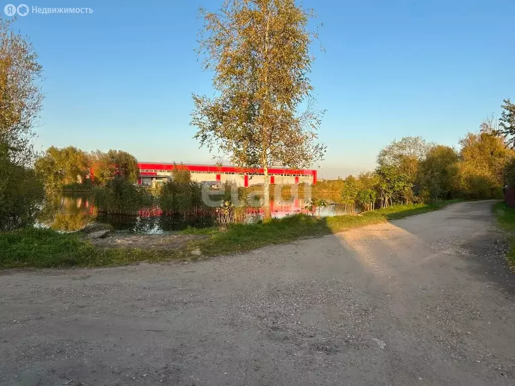 Участок в Калининград, СНТ Чайка, Рябиновая улица (2.7 м) - Фото 2