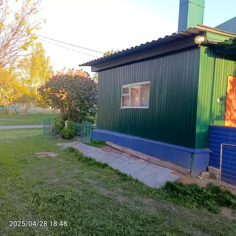 Дом в Талицкий Чамлык, Базарная улица, 11 (63 м) - Фото 0