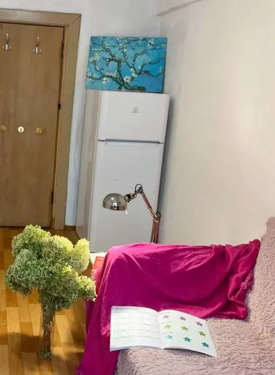 Комната Москва 3-й Новомихалковский проезд, 4 (16.0 м) - Фото 1